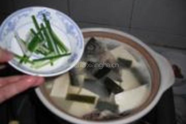 海带豆腐鲫鱼汤的做法图解8