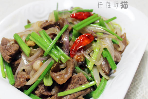 香辣回锅牛腩
