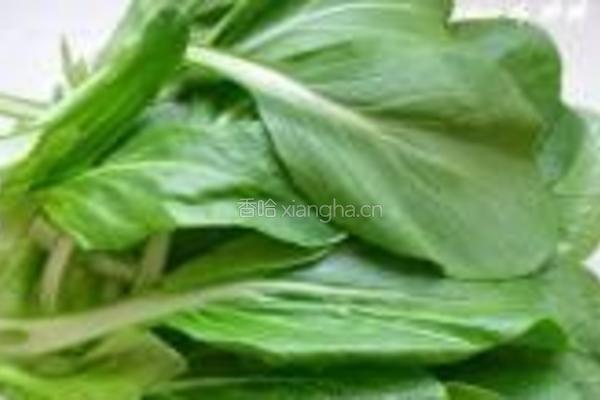 豆酱小油菜的做法图解1