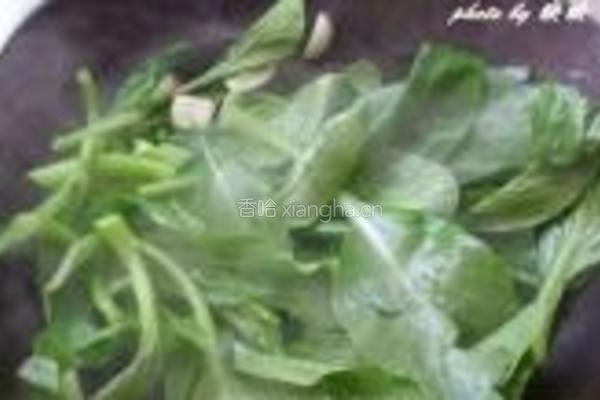 豆酱小油菜的做法图解4