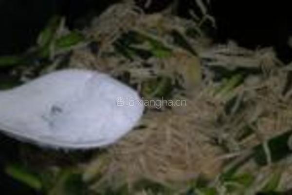 大蒜炒干丝的做法图解7