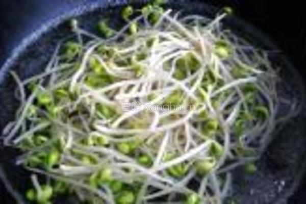 拌豆芽儿的做法图解2