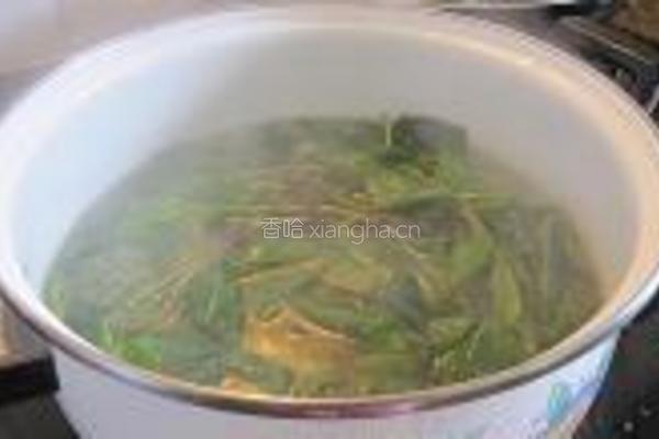 蒜蓉炒番茄叶的做法图解2