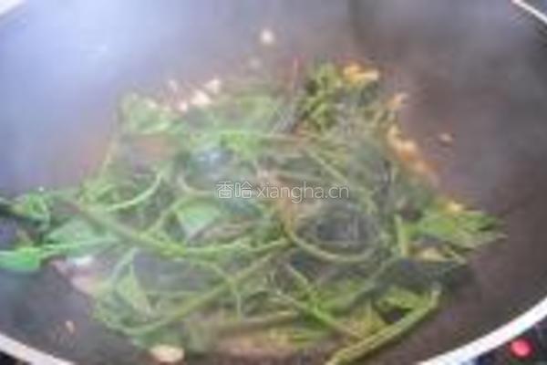 蒜蓉炒番茄叶的做法图解6