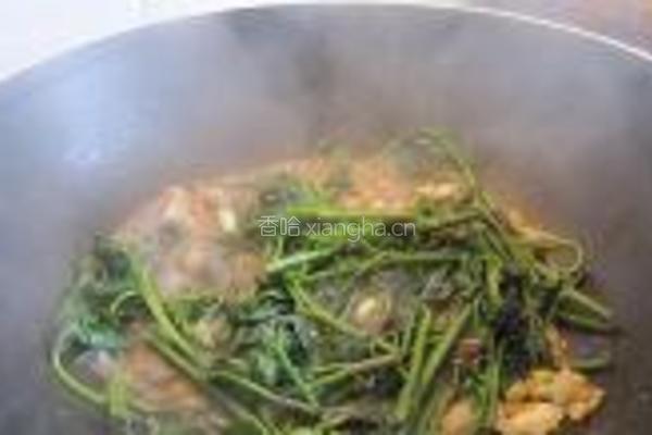 蒜蓉炒番茄叶的做法图解7