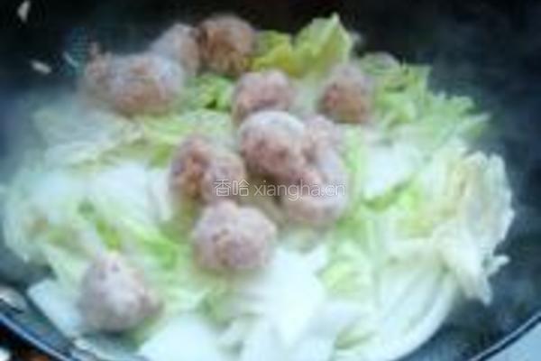番茄白菜炖肉丸的做法图解6