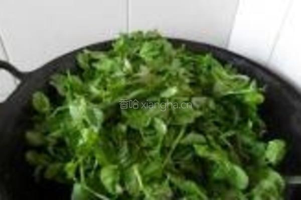 蒜香豌豆苗的做法图解4