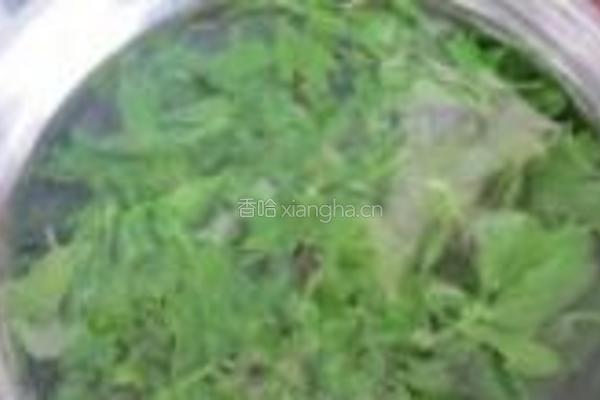 凉拌芹菜叶的做法图解4