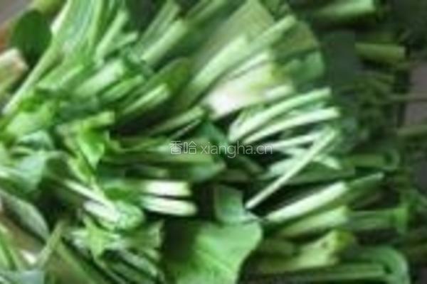蒜香菠菜梗的做法图解2