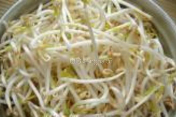 肉丝炒豆芽的做法图解2