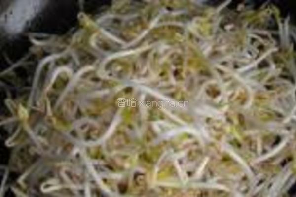 肉丝炒豆芽的做法图解6