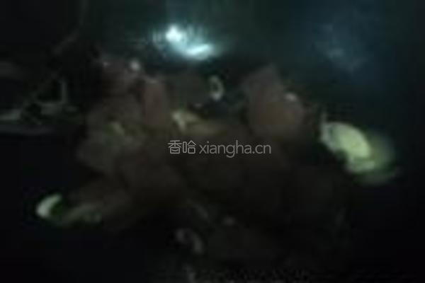 小葱炒猪血的做法图解4