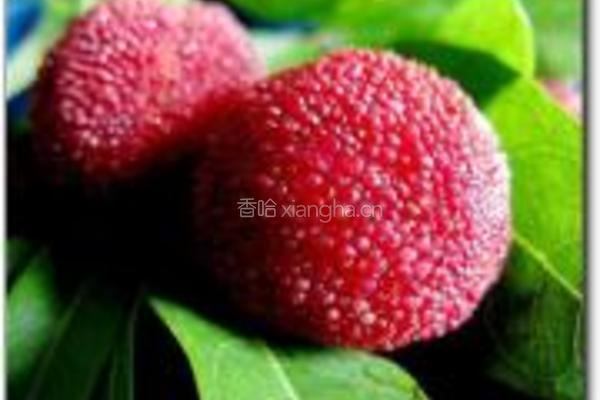 杨梅酱的做法图解1
