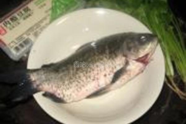 鲫鱼芫荽豆腐汤的做法图解1