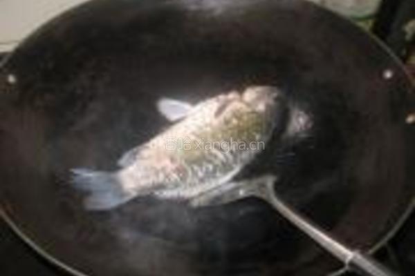 鲫鱼芫荽豆腐汤的做法图解3