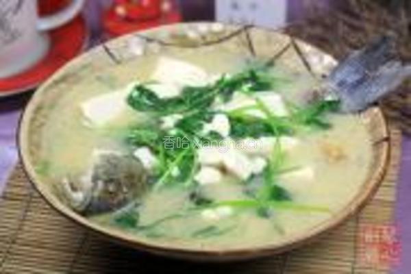 鲫鱼芫荽豆腐汤的做法图解8