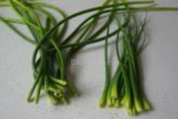 蒜苗鸭掌干锅的做法图解5