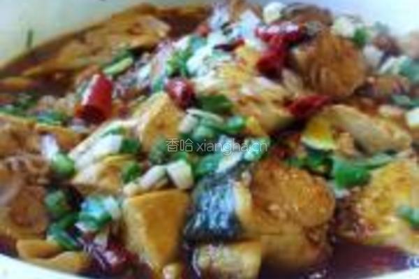 啤酒鱼炖豆腐的做法图解9