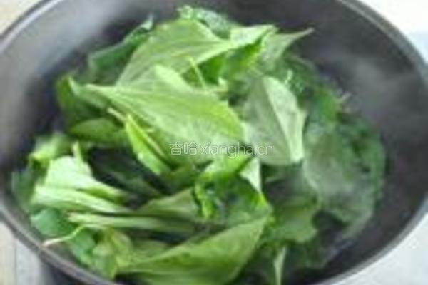 车前草拌鸭肠的做法图解5