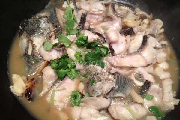 菌菇黑鱼片