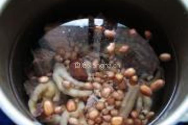 花生眉豆鸡脚汤的做法图解9