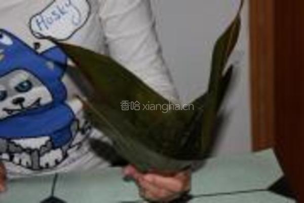 蜜枣糯米粽的做法图解2