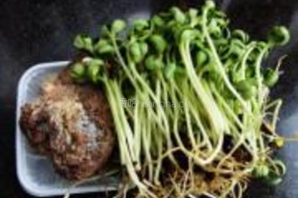 黑豆苗炒牛肉的做法图解1
