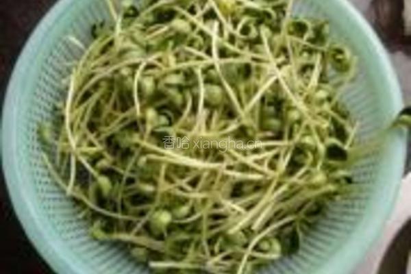黑豆苗炒牛肉的做法图解2