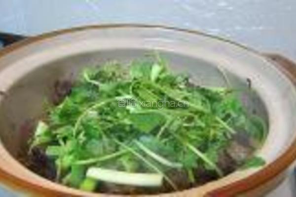 沙锅茨菇焖鹅的做法图解10
