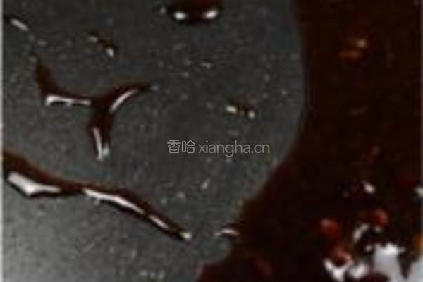 照烧菠萝鸡腿的做法图解9