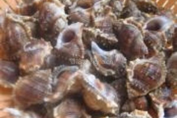 白灼海螺的做法图解1