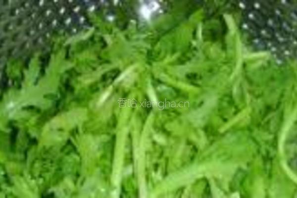老醋辣根茼蒿的做法图解1