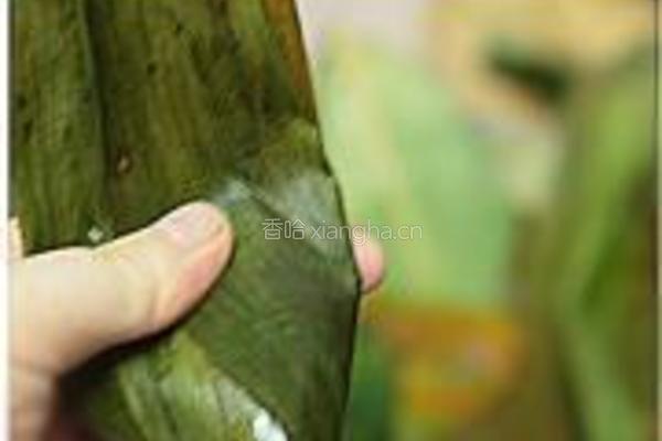火龙果粽子的做法图解7