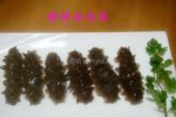 泡发干海参的做法图解14