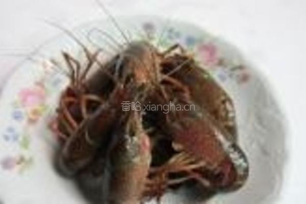 油爆大龙虾的做法图解1