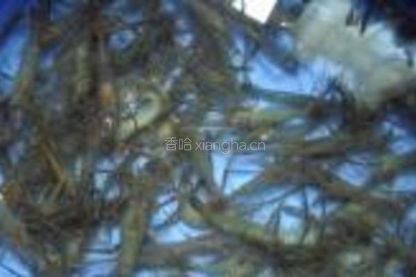 盐水河虾的做法图解1