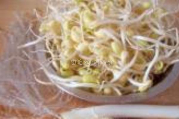 黄豆芽炖粉条的做法图解1