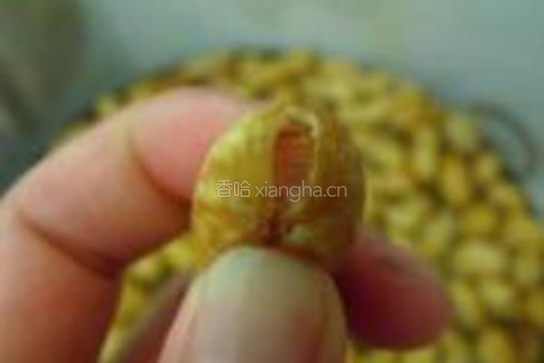 九味盐水花生的做法图解3