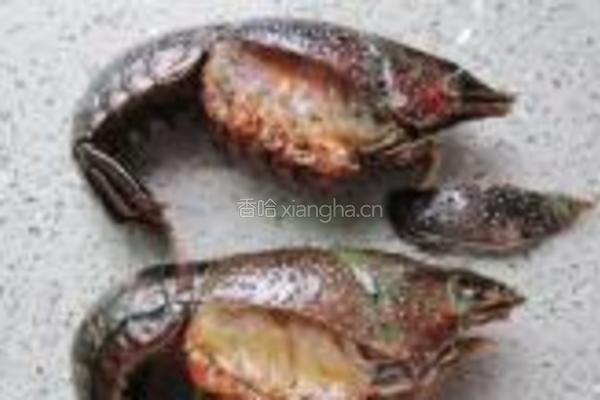 红烧小龙虾的做法图解7