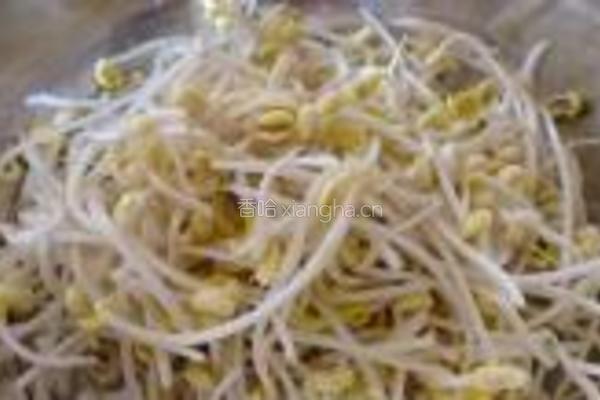 糖醋肉丝豆芽的做法图解1