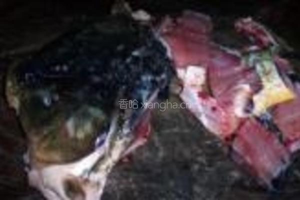 飘香水煮鱼的做法图解8