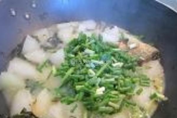 海鱼焖老节瓜的做法图解8