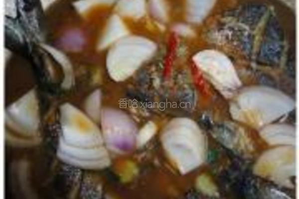 洋葱焖马鲛鱼的做法图解9