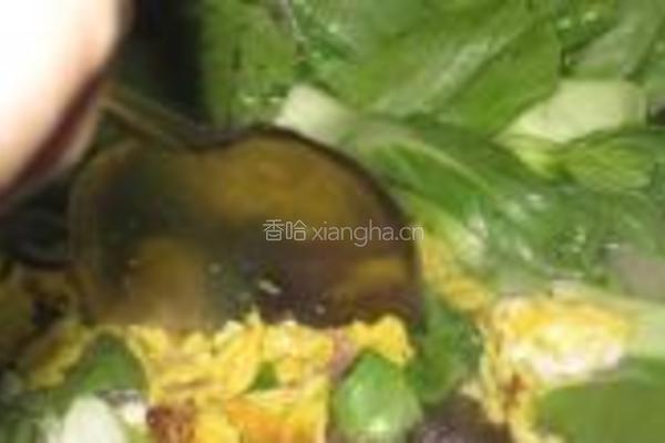 鲈鱼两吃的做法图解21