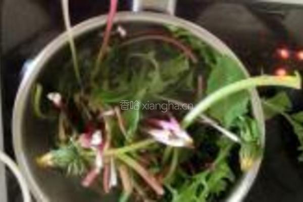 蒲公英拌蕨菜的做法图解2