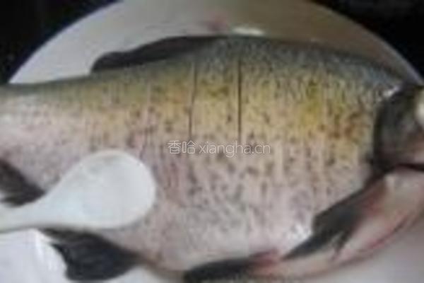 多味鳊鱼的做法图解1