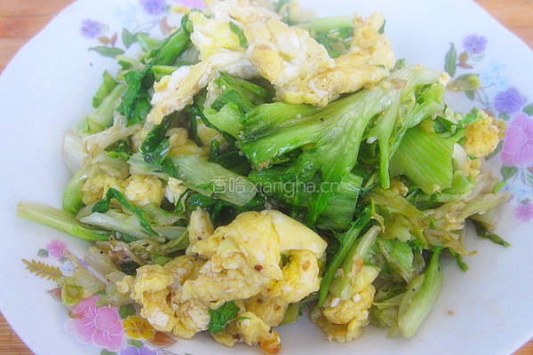 苦菊炒鸡蛋