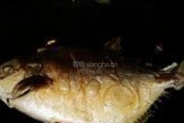 红烧银鲳鱼的做法图解3
