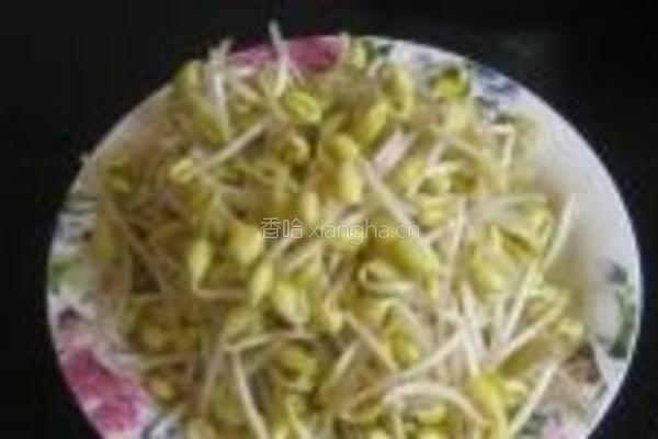 素炒辣味黄豆芽的做法图解1