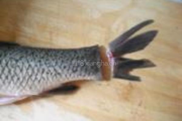豆豉炸鱼的做法图解2